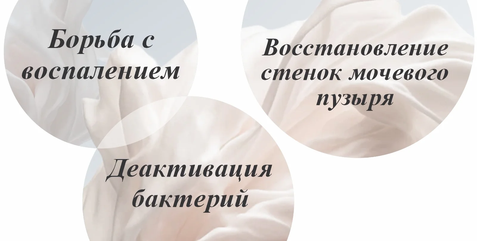 Действие